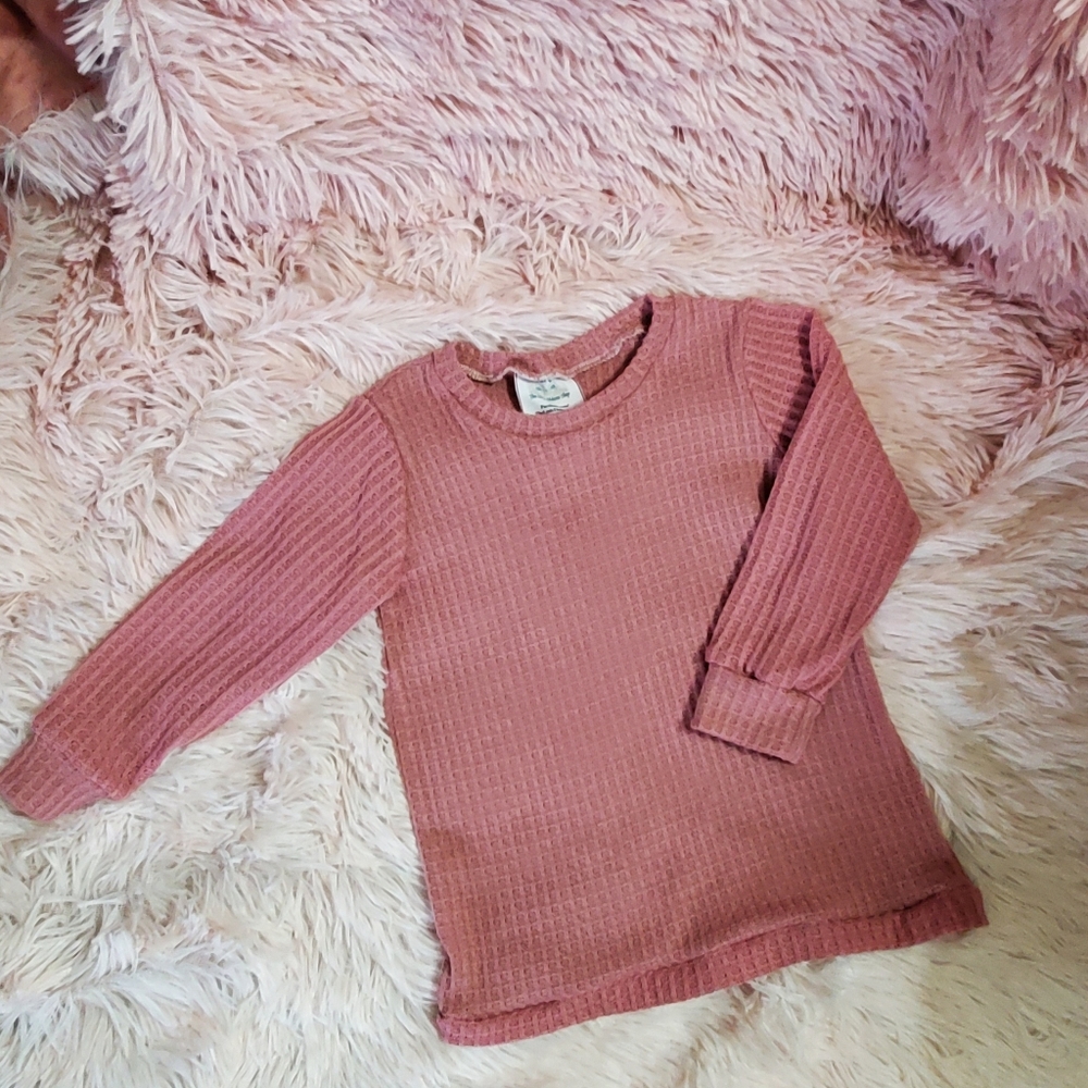 NWOT Mauve Dolman Top